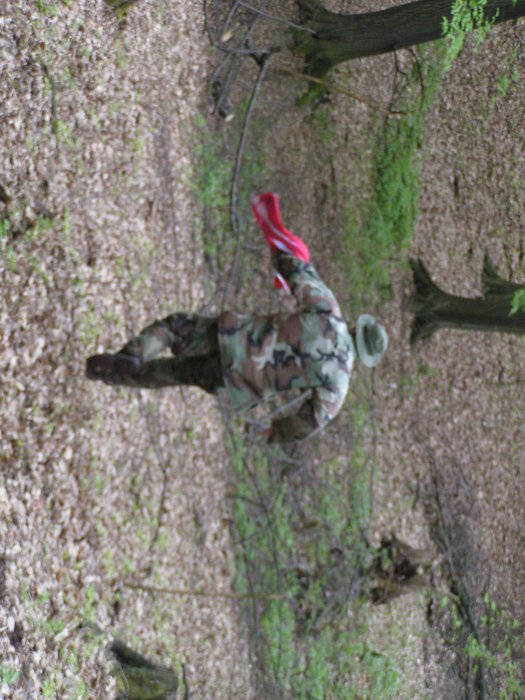 PICT0238.JPG