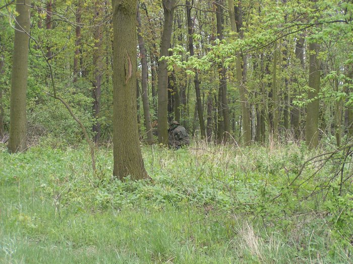 PICT0121.JPG